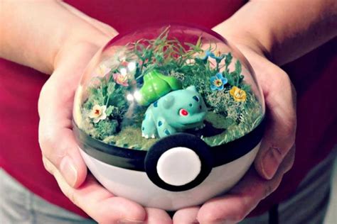 Custom Pokéball Terrarium Is The Coolest Pokéball And Terrarium Ever