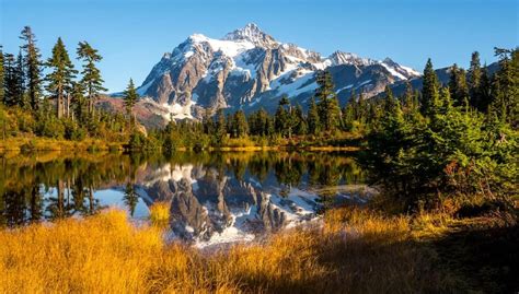 5 Breathtaking U.S. National Forests | The Discoverer