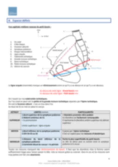 Solution Anatomie Du Bassin Studypool