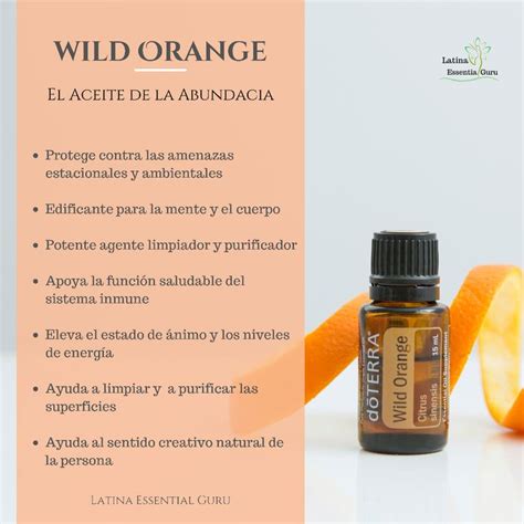 Naranja Silvestre Wild Orange Aceites Esenciales Doterra Aceite De