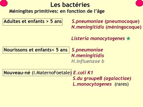 Ppt Méningites Bactériennes Powerpoint Presentation Free Download Id954807