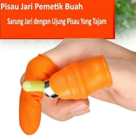 Jual Alat Petik Cabe Alat Pemetik Cabe Buah Kab Kediri Mase Tan