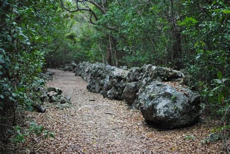 Dagny Johnson Key Largo Hammock Botanical State Park Parks Key