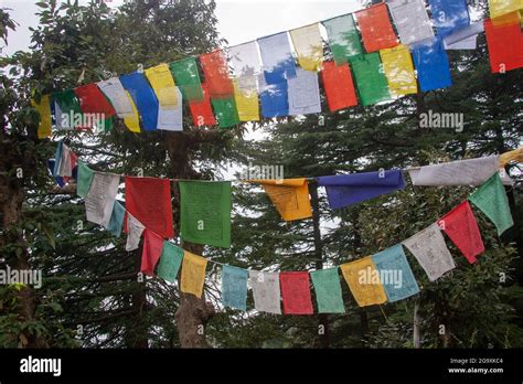 Dalai Lama S Temple Dharamsala Stock Photo Alamy