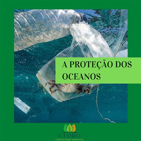 Por Que É Importante Proteger Os Oceanos - Como podemos proteger os oceanos?