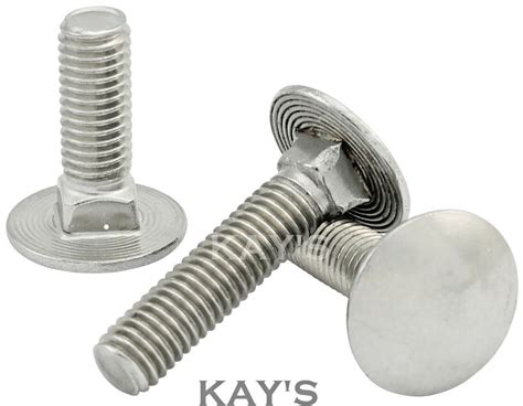 Carriage Bolts Cup Square Dome Coach Screws A Stainless Steel M M M