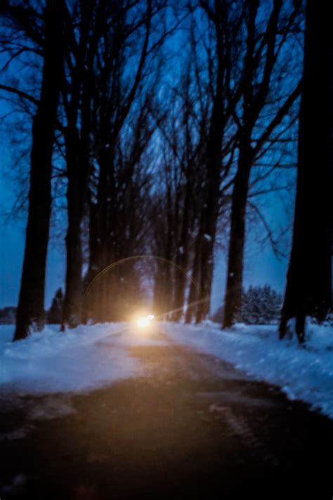 Free Images Tree Nature Forest Snow Winter Light Mist Street