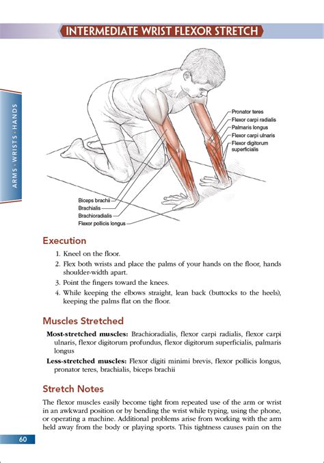 Stretching Anatomy 2nd Edition Human Kinetics