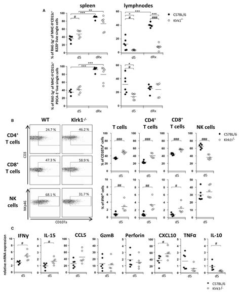 Phenotypic Analysis Of NKG2D Ligand Expression And Functional Analysis