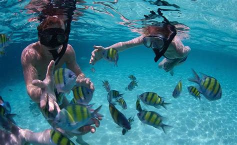 Snorkeling Tours In Sri Lanka Diving In Sri Lanka Snorkeling And