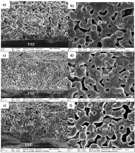 SEM Micrographs Relative To Surface Morphology And Cross Section Of A