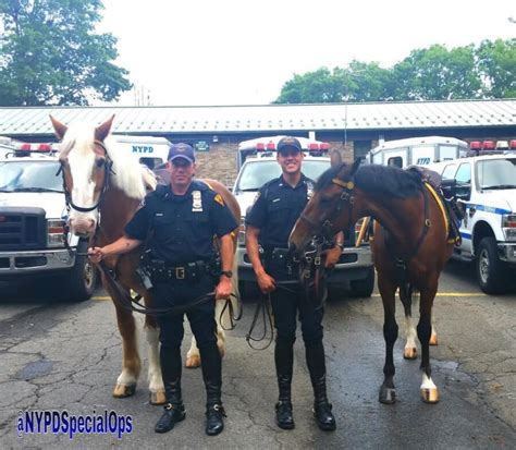 Nypd Mounted Unit Cops Chase Capture Fleeing Mugger Metro Us