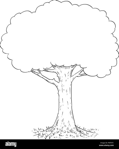 Vector De Dibujo A Mano Alzada En Lápiz Y Tinta De árbol Imagen Vector