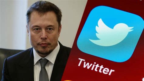 Primera Audiencia De Twitter Contra Elon Musk