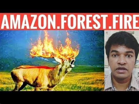 Amazon Fire In Amazon Forest Tamil L AN CREATIVE L Miracle Media YouTube