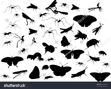 Illustration With Insect Silhouettes Isolated On White Background