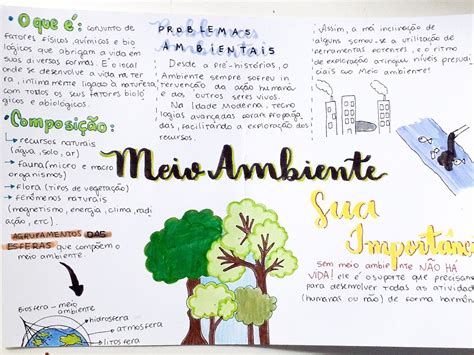 Mapa Mental Meio Ambiente E Sustentabilidade Revoeduca