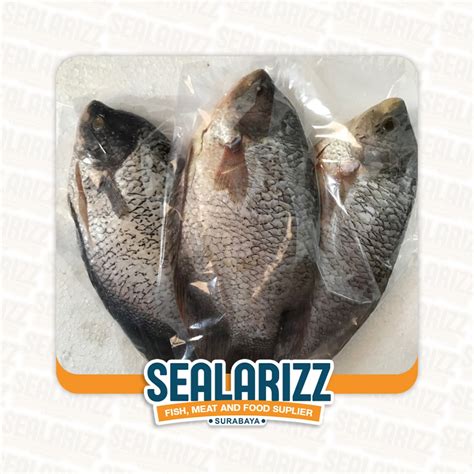 Jual Ikan Gurami Segar Frozen Bersih Ikan Gurame Shopee Indonesia