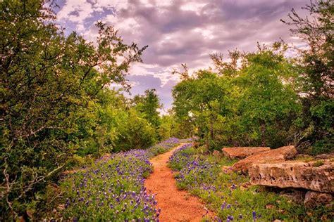 Dripping Springs, Texas | Audubon Texas