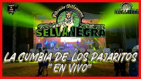 La Cumbia De Los Pajaritos En Vivo Selva Negra YouTube