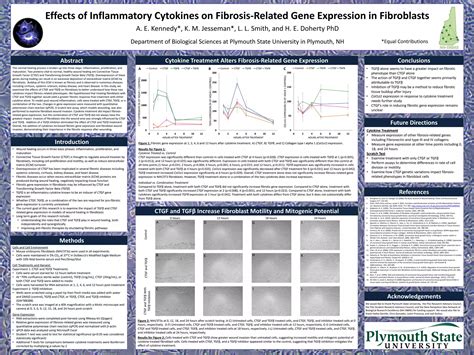 Effects Of Inflammatory Cytokines On Fibrosis Related Gene Expression