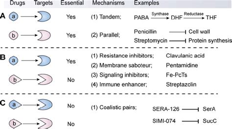 Classification Mechanisms And Examples Of Synergistic Combination In