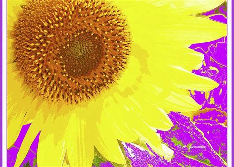 Sunflower and Van Gogh Quotation Greeting Card by A Macarthur Gurmankin