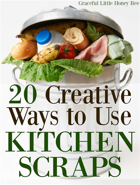 20 Creative Ways To Use Kitchen Scraps Graceful Little Honey Bee