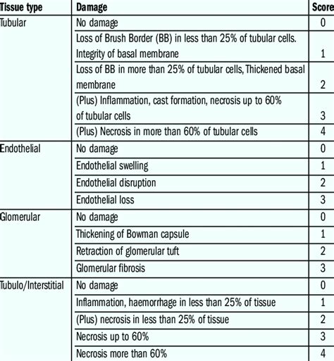 The Egti Histology Scoring System Download Scientific Diagram