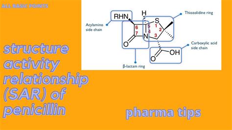 Structure Activity Relationship SAR Of Penicilline Pharma Tips