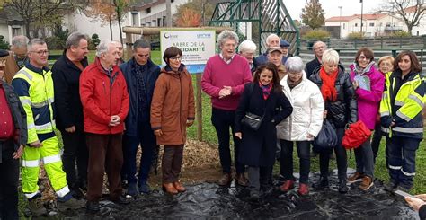 Gleizé Un arbre de la solidarité planté à lespace de loisirs Saint