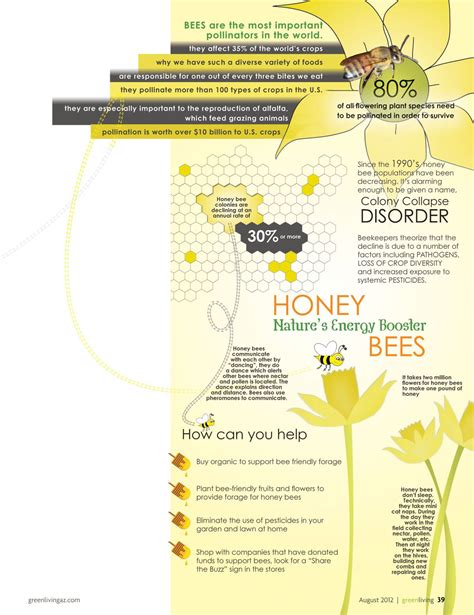 Honey Bees Natures Energy Booster Infographic Green Living Bee