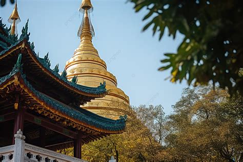 一座金塔 上面有鮮花 樹木覆蓋 古建築 高分辨率 旅遊目的地背景圖片和桌布免費下載