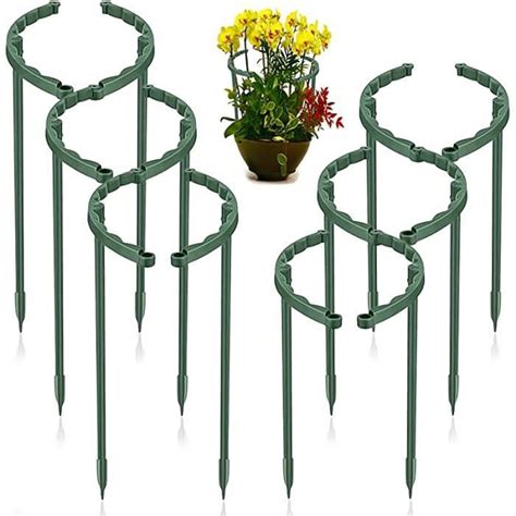 Supports Pour Plantes Kit Tuteur Grimpantes Et Fleurs Vert Aidez