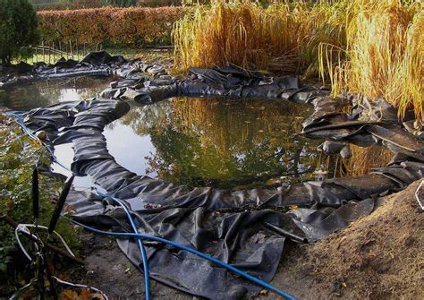 Декоративный пруд для дачи, 19 фото искусственных водоемов | Дачный участок