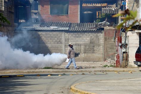 Guerrero Refuerza Lucha Contra El Dengue Con Operativo En Acapulco