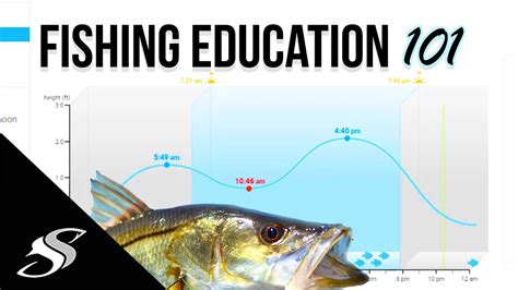 Fishing Moon Phase Chart Ponasa