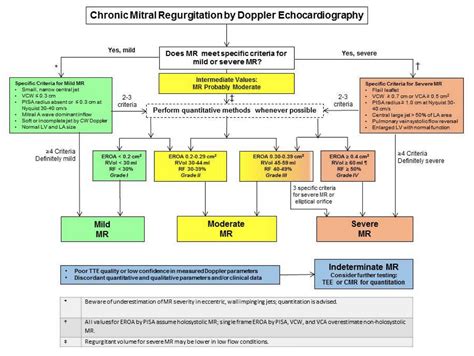 Mitral Regurgitation In 2020 The 2020 Focused Update Of The 2017