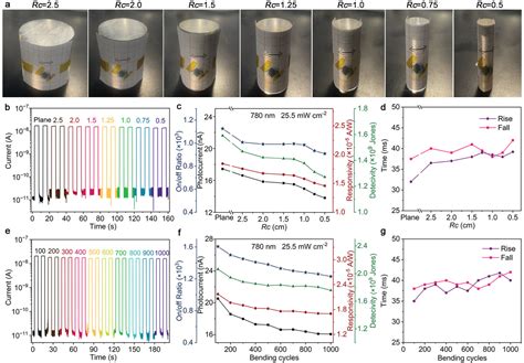 Replicating Cd Nanogrooves Onto Pdms To Guide Nanowire Growth For