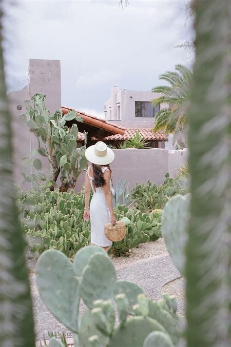 Tucson Desert Getaway | Diana Elizabeth