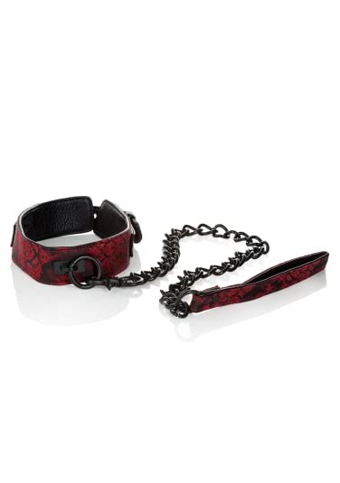 Scandal Collar With Leash Lion S Den Online Sex Toy Store