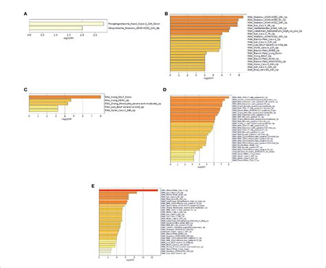 The Functional Pathway Enrichment Analysis In Covid Categories Using