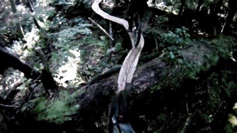 North Shore Mountain Biking Sex Girl And S O B GO PRO HD YouTube