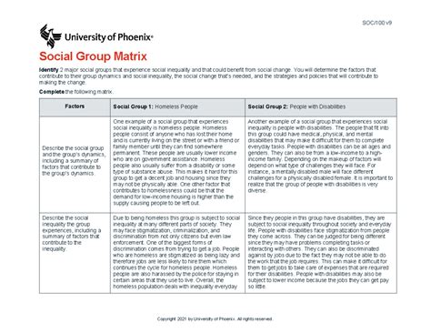 Soc100 Week 5 Assignment Soc100 V Social Group Matrix Identify 2