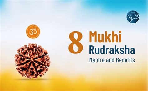 8 Mukhi Rudraksha Mantra And Benefits Bejan Daruwalla