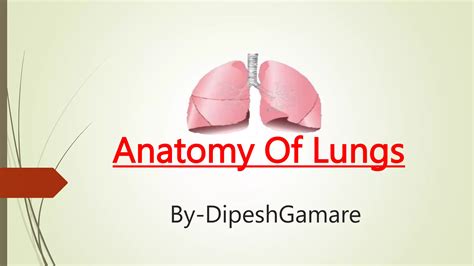 Anatomy Of Lungs.pptx