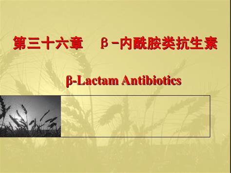 药理学精品课程β 内酰胺类抗生素word文档在线阅读与下载无忧文档