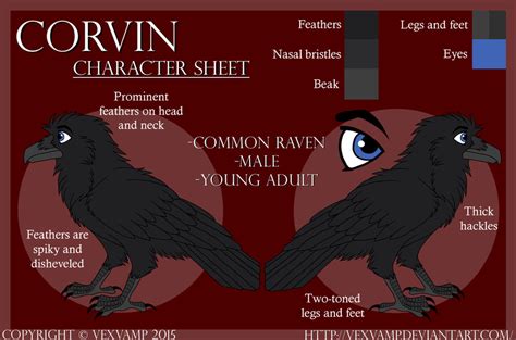 Character Sheet Corvin By Xvexvamp On Deviantart