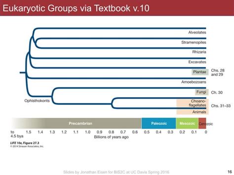 Bis C Lecture Microbial Diversity Ppt