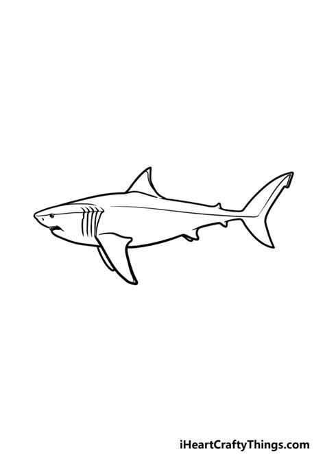 Megalodon Drawing - How To Draw A Megalodon Step By Step